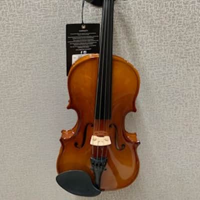 Stagg Model VN-1/4 - 1/4 Size Solid Maple Violin with case, bow and accessories image 3