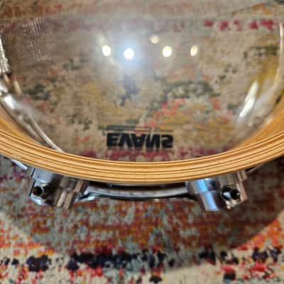 DW Collector's Series 14x5" Maple Snare Drum 1998 image 12