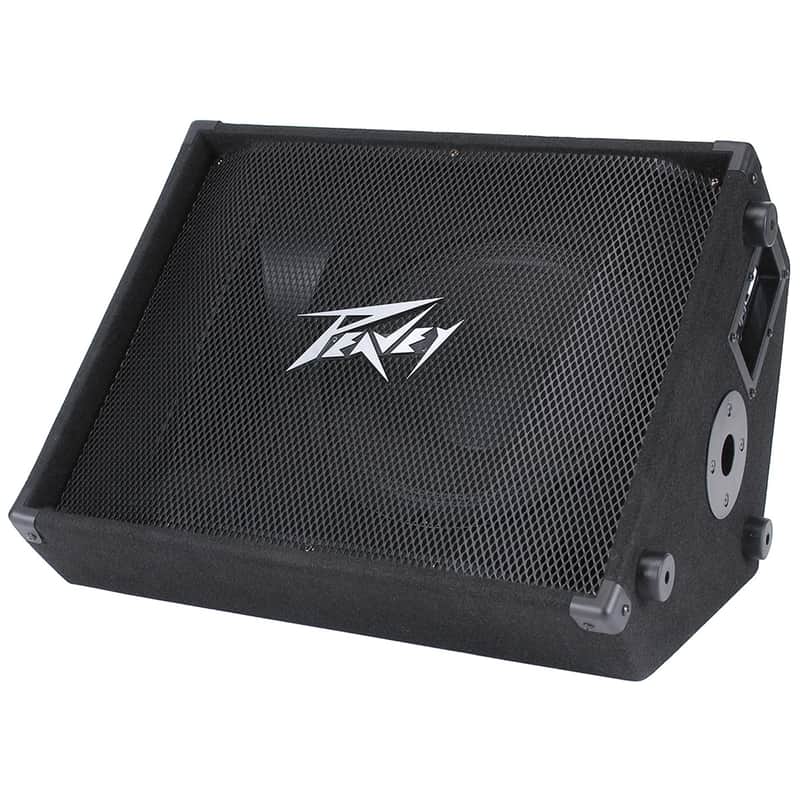 Peavey PV PASSIVE Monitor 12M image 1