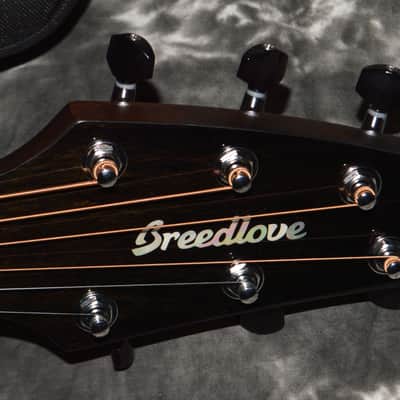 2023 Breedlove - Wildwood Pro Series Concert Suede CE image 5