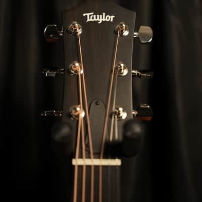 Taylor 314ce Studio 2025 Shaded Edgeburst image 7