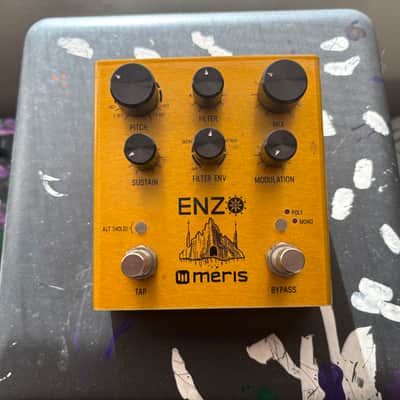 Meris Enzo w/ Footswitch 2021 - Gold image 2