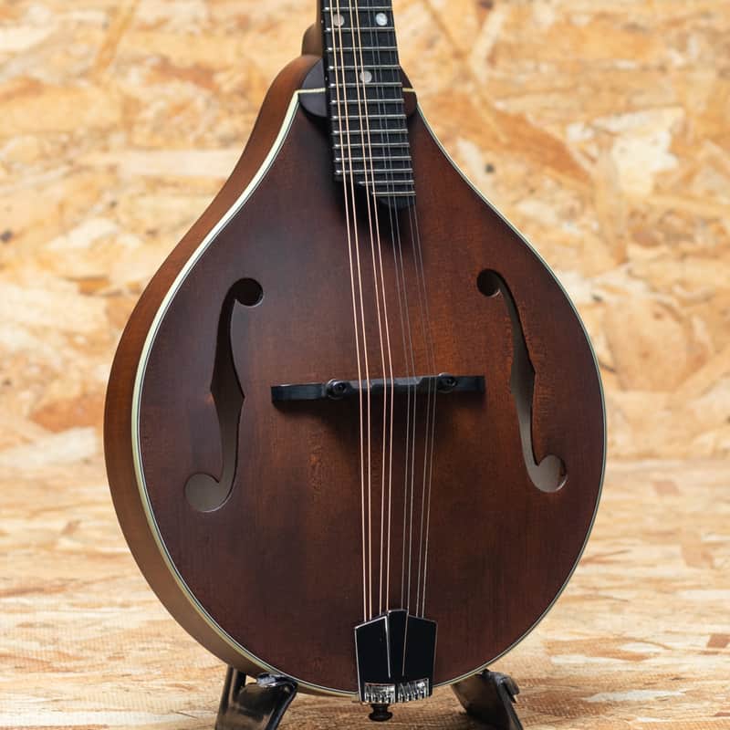 Eastman MD305 2025 image 1