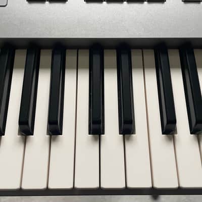 Korg Triton 61-Key 62-Voice Polyphonic Workstation 1999 - 2000 - Silver image 10
