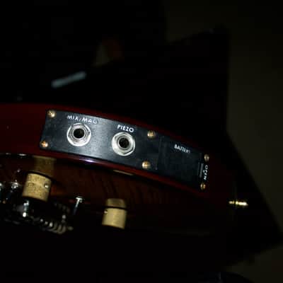 PRS P24 2012 Black Gold Wrap Around - Modified Jerry Garcia Tiger Electronics OBEL image 6