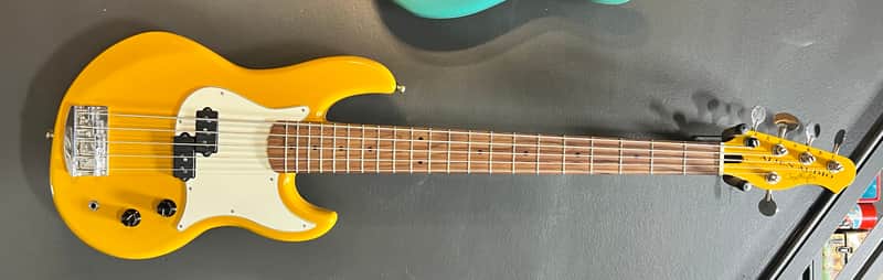 Alien Audio Constellation 5 string p bass Constellation 5 P bass image 1