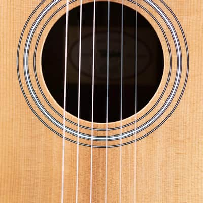 Taylor 214ce-N Nylon Grand Auditorium Acoustic/Electric Guitar with Gig Bag image 11