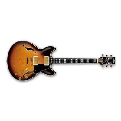 Ibanez John Scofield Signature JSM100 Hollow-Body Electric Guitar, Bound Ebony Fretboard, Vintage Sunburst image 16