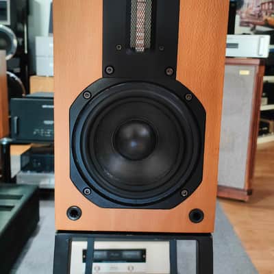 ROSE MUSIC BY MARK LEVINSON ROSEBUD image 3