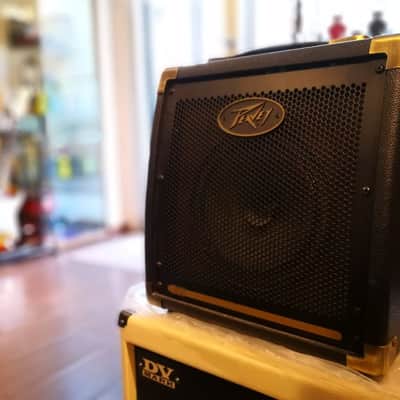 Peavey Ecoustic E20 image 3