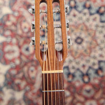 Godin Multiac Steel Duet Ambiance | Natural image 22
