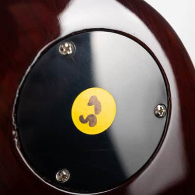 Gibson Slash "Victoria" Les Paul Standard, Gold Top | Demo image 16