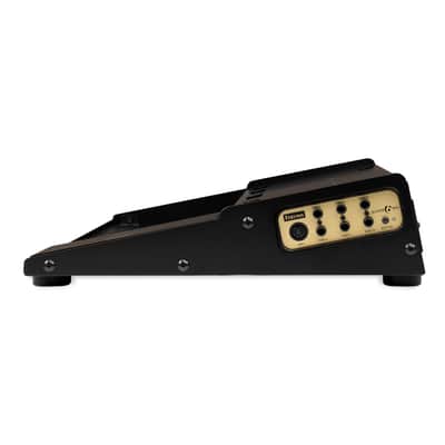Friedman Tour Pro 1317 Platinum13"x17" USA Pedal Board With Riser + Power Grid 10 + Buffer Bay 6 image 6