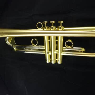 Show Demo Adams A8 Ergonomic Trumpet in Satin Lacquer image 2