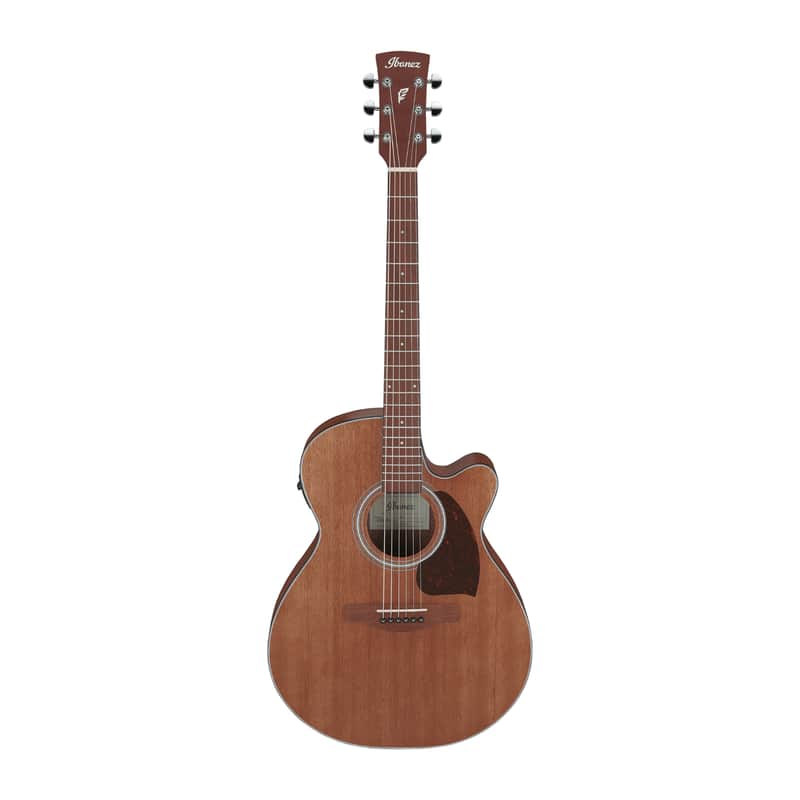 Ibanez PC54CE Performance image 1