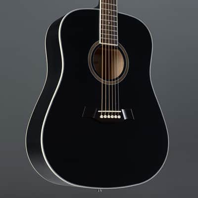 Red Hill WGS-1 BK Starter Kit - Acoustic Guitar image 6