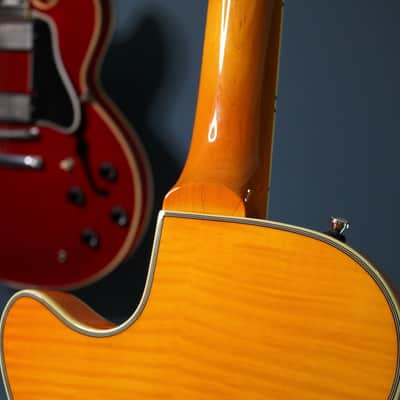 Duesenberg Star Player TV Honey 2018 image 19