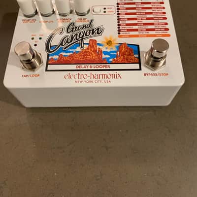 Electro-Harmonix Grand Canyon Delay and Looper 2018 - Present - White image 2