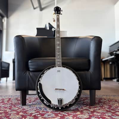 Alabama ALB31 5-Strings Banjo - Rosewood Fingerboard, Sunburst image 3