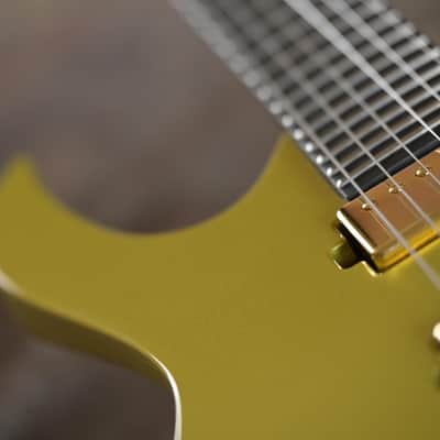 Mayones Duvell Elite 6, V24 - Custom Gloss Gold Metallic image 11