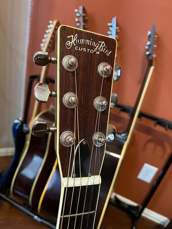 Tokai Hummingbird Custom - W-300 - Acoustic Guitar | Reverb