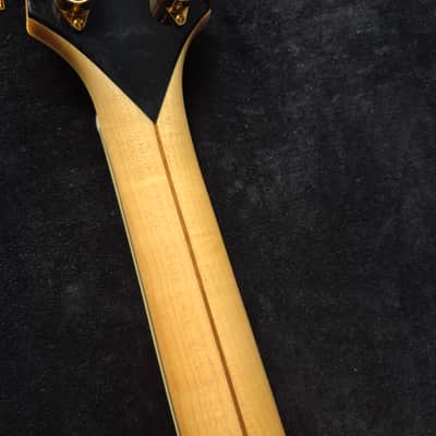 2015 D'Angelico Excel EXL-1 Hollow Body Archtop with Rosewood Fretboard - Natural-Tint image 13