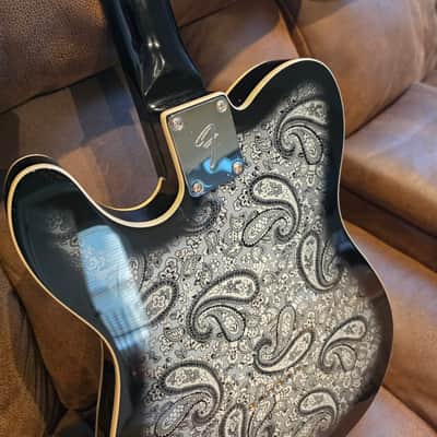 PartsCaster Custom Telecaster Paisley image 9