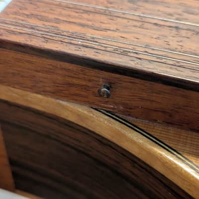 Blue Lion Baritone Custom Dulcimer w LR Baggs Pickup image 11