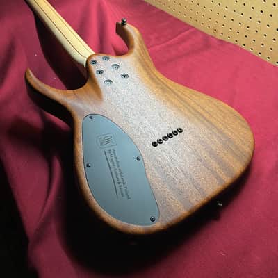 Mayones Duvell Standard 6 image 2