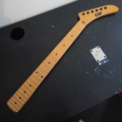 ESP 48th Street NY. Holy Grail neck, EVH, George Lynch, Kramer image 1