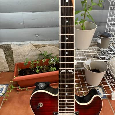Cidre Arroaz II Guitar PRS Style 2024 Custom Made in Spain -  Flamed Maple Fireburst & Black Back image 3