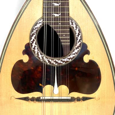 Concert Mandolin Raffaele Calace (Nicola Maria Calace) from 1902 image 5