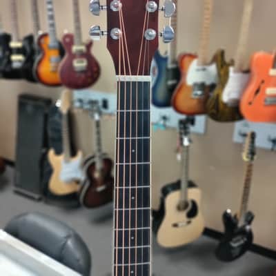 Washburn DFBDA Deep Forest Burl Dreadnought Acoustic Guitar 2022 Amber Fade image 7
