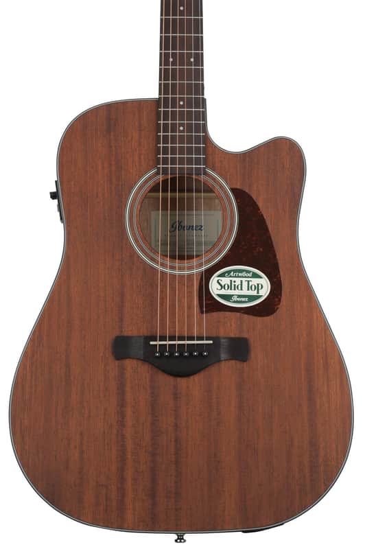 Ibanez AW54CE Acoustic-electric Guitar - Open Pore Natural image 1