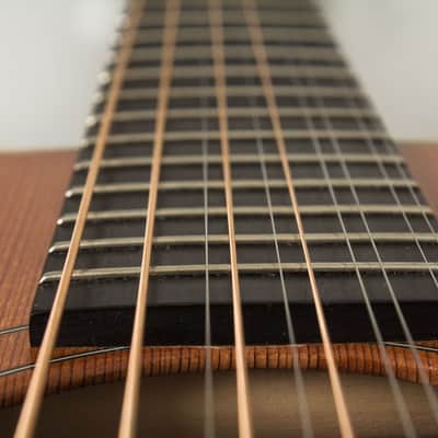 Circle Strings  A-1 10 String Acoustic Flat Top Guitar (2018), ser. #119, original molded white plastic hard shell case. image 18