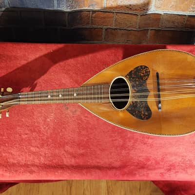 Project Bowl-Back Mandolins - Luthier Special - BRAZILIAN ROSEWOOD BACKS image 6