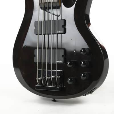 ESP Ltd 5-String Bass Owned by Greg Howe image 10