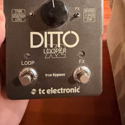 TC Electronic Ditto X2 Looper 2014 - Present - Black image 1