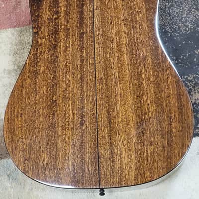 Eastman E1D-Special image 3