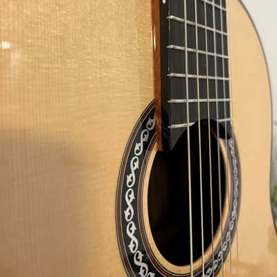 Cordoba C12 Lattice bracing, spruce top imagen 4