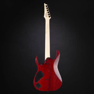 Ibanez Standard RGA42FM-TGF Transparent Gray Flat - Electric Guitar image 3