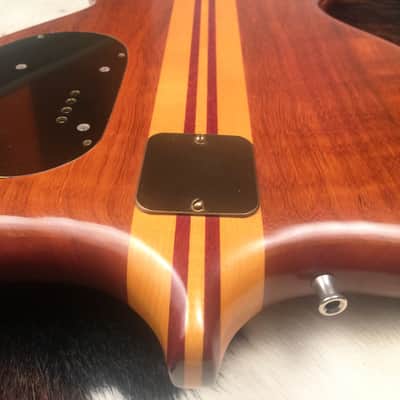 Alembic Series 1 Bass Guitar Owned by Nathan East (bassist for Eric Clapton) image 18