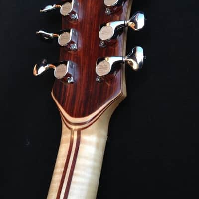 Waldschmidt Guitars-Jerry Garcia Tiger Clone image 9