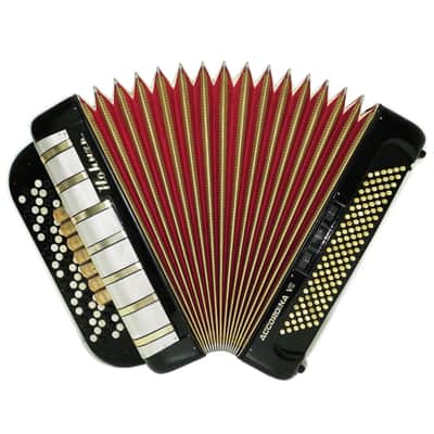 Vintage Hohner Accordina VII C Griff Button Accordion 120 Bass, made in Germany, with New Straps, Original Accordeone de Botones, 2671 image 1