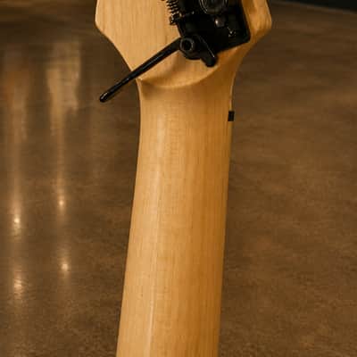 NORTON PYTHON 1992. Museum Specimen Guitar. Steel frame guitar. Ultra Rare. From Museum. image 15