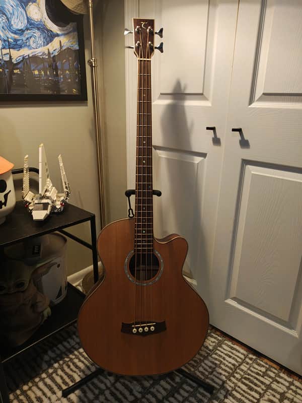 Tanglewood TAB1-CE Acoustic Electric bass image 1