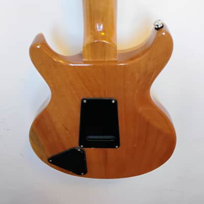 PRS SE Santana - 2024 - Santana Yellow - PRS SE Gig Bag image 20