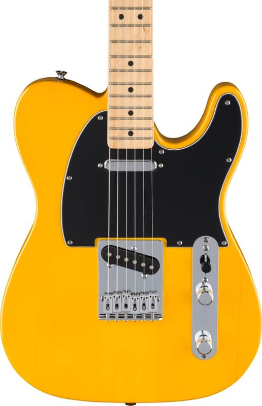 Fender Standard Telecaster Butterscotch Blonde (new) image 1
