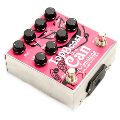 Menatone Top Boost in a Can owned By J Mascis image 5