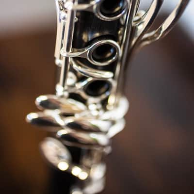 Buffet R13 Prestige Bb Professional Clarinet image 14